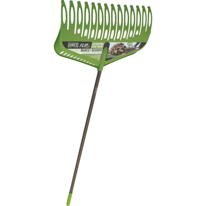 AMES1000004411 Image 1
