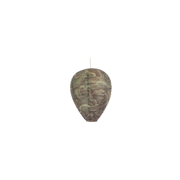 DEWITTNATWASP36 Image 1