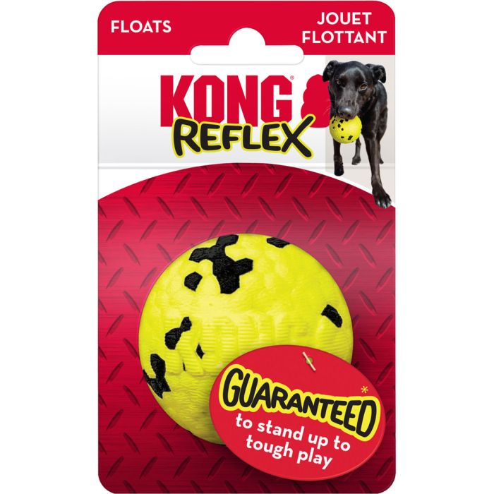 KONGRFL24 Image 1