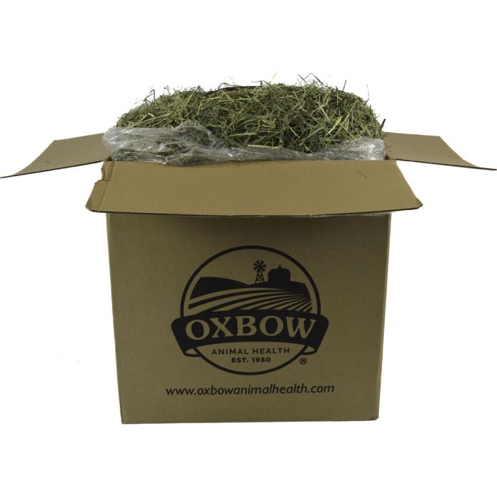 OXBANI04445000 Image 1