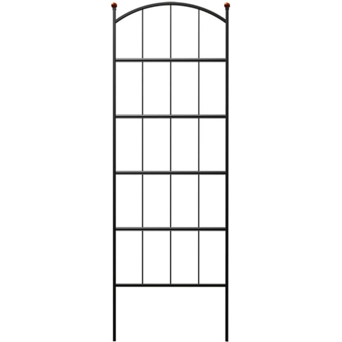 PANPRO81431 Image 1