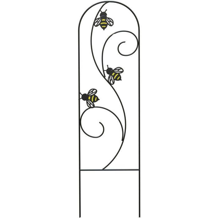 PANPRO81451 Image 1