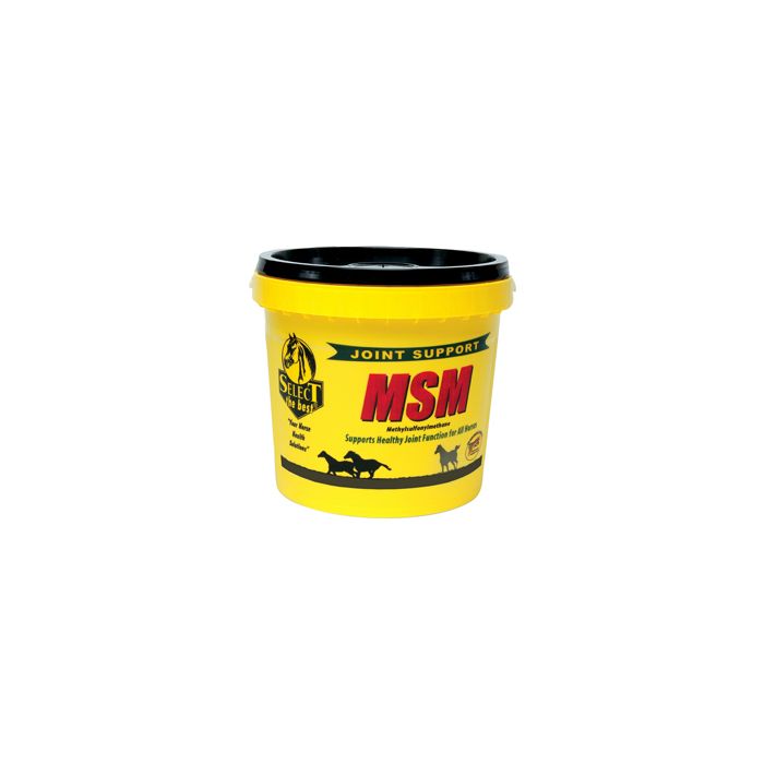 SELBES011402003 Image 1