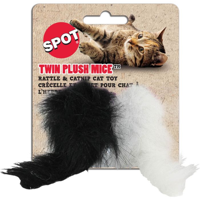 SPOT2913 Image 1