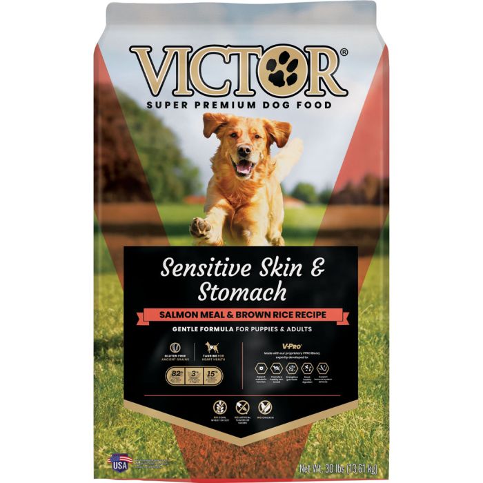 VICTOR2900 Image 1