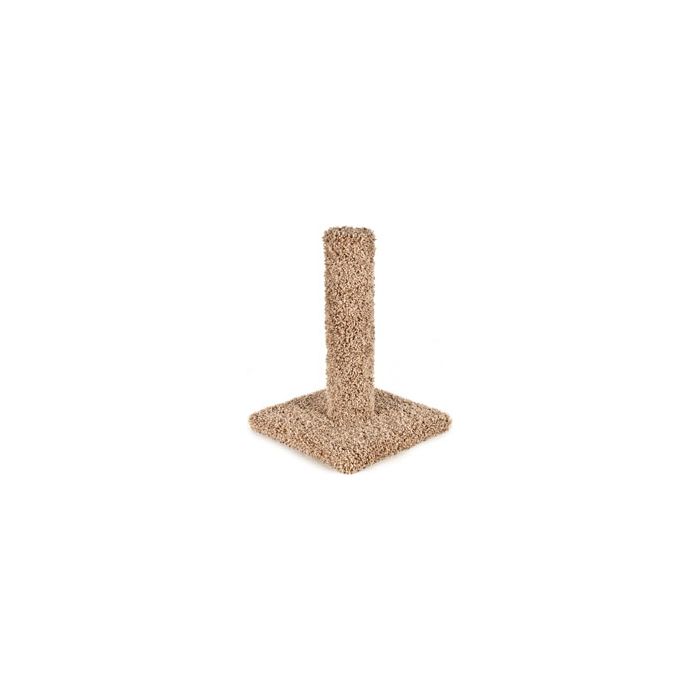 WARE01000 Image 1