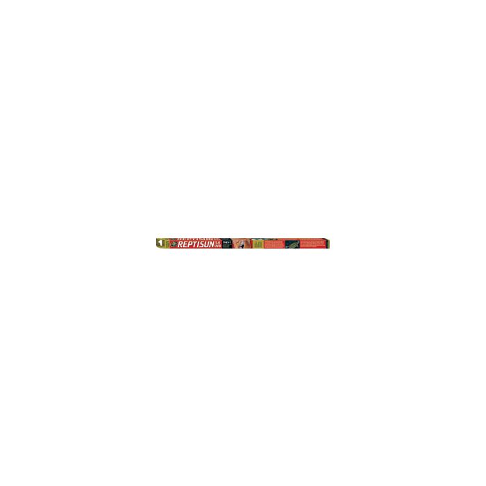 ZOOMEDFS24 Image 1