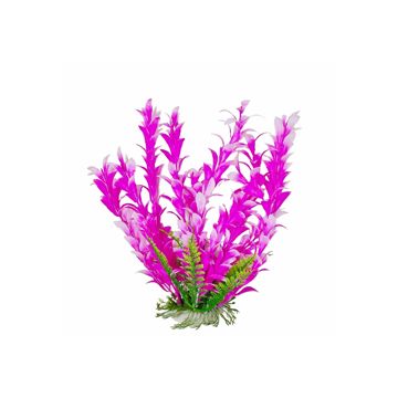 AQUATOPDBH21 Image 1