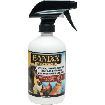 BANIXX2005 Image 1