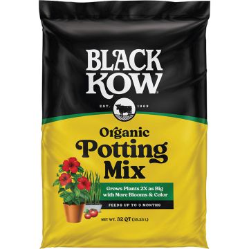 BLAKOW50150378 Image 1