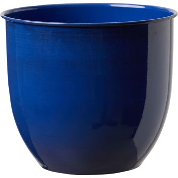 BLOEMCYMP1470 Image 1