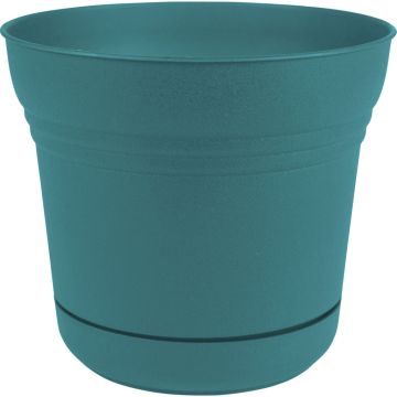 BLOEMSP1226 Image 1