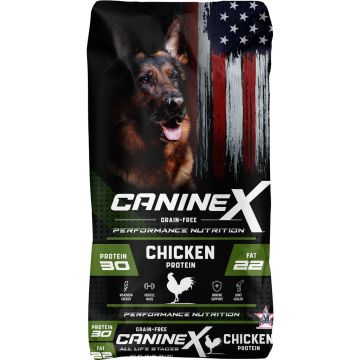 CANINE2100028 Image 1