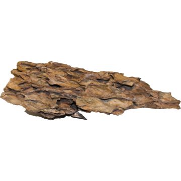 CARIBS00329 Image 1