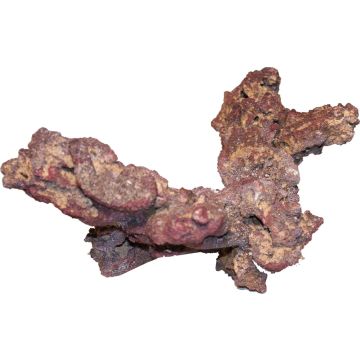 CARIBS00381 Image 1