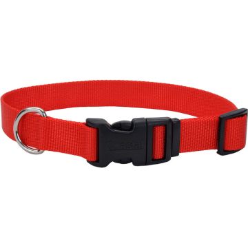 COASTA06901RED26 Image 1