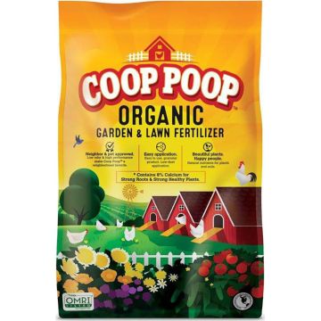 COOPOOHGR243CP40 Image 1
