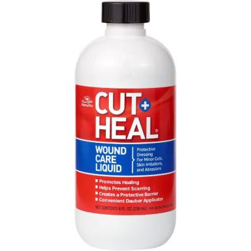 CUTHEA0441000157 Image 1