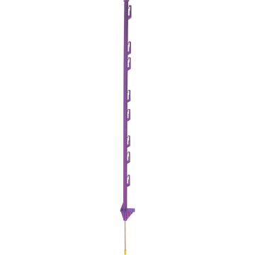 DARE2400PURPLE Image 1