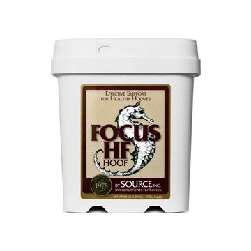FOCUSFOCUSHF6 Image 1