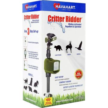 HAVAHA52775270 Image 1