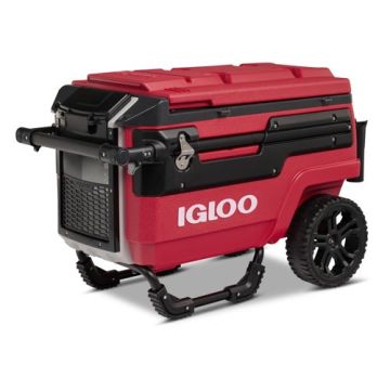 IGLOO35066 Image 1