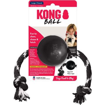 KONGEB12 Image 1