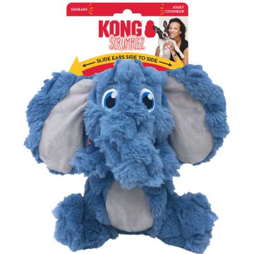 KONGSCZ23 Image 1