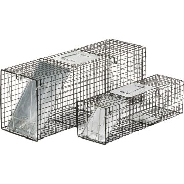 LITGIAELT42 Image 1