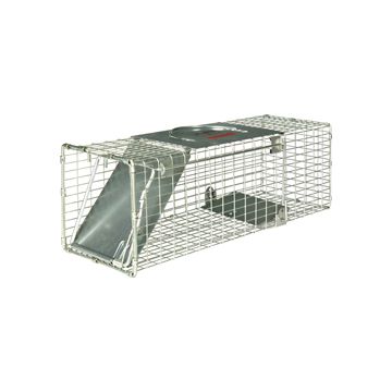 MILLERLT1 Image 1