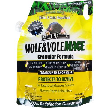 NATMACMOLE995004 Image 1