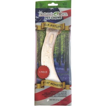 NATOWN9011810 Image 1