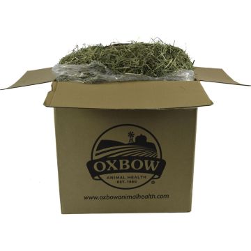 OXBANI04445000 Image 1