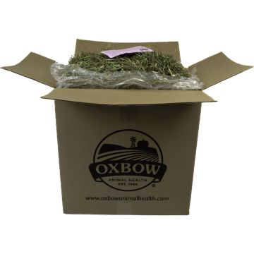 OXBANI04455000 Image 1