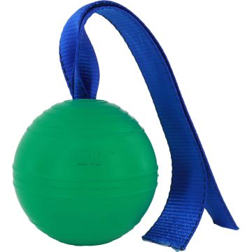PETKOR87971GRNXLG Image 1