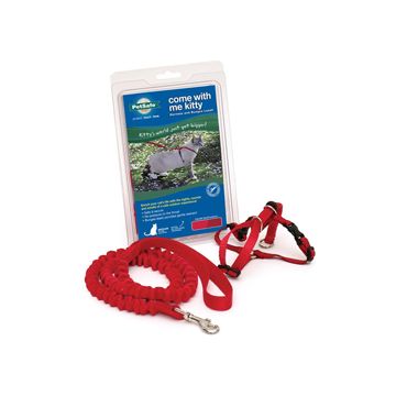 PETSAFCWMKMRED Image 1