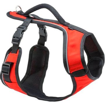PETSAFESPHLORG Image 1