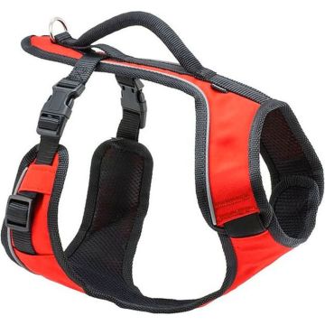PETSAFESPHSORG Image 1