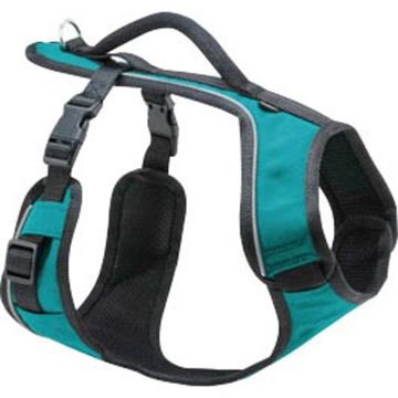 PETSAFTESPHSTEAL Image 1