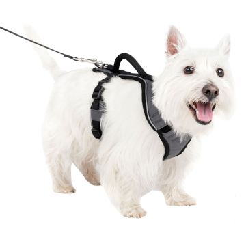 PETSAFWMESPHSGRY Image 1