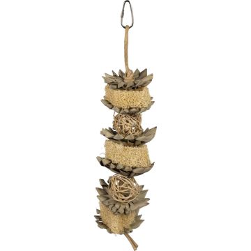 PRVPET60264 Image 1