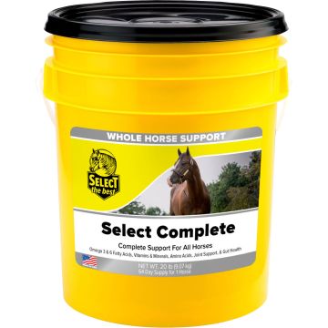 SELBES011020207 Image 1