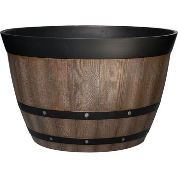 SOUPAT1000003316 Image 1
