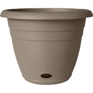 SOUPAT1000004769 Image 1