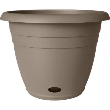 SOUPAT1000004771 Image 1