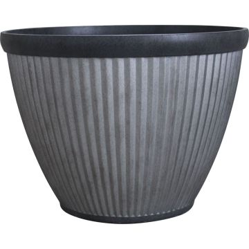 SOUPAT1000004779 Image 1