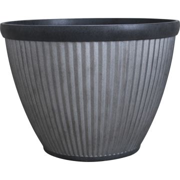 SOUPAT1000004780 Image 1