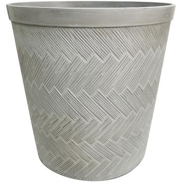 SOUPAT1000005857 Image 1