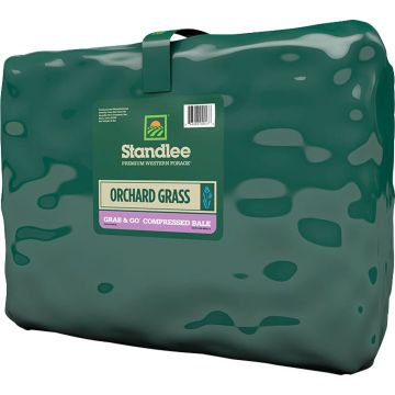 STAPRE13002002100 Image 1