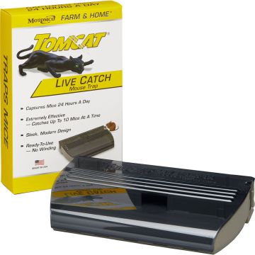 TOMCAT00833511 Image 1
